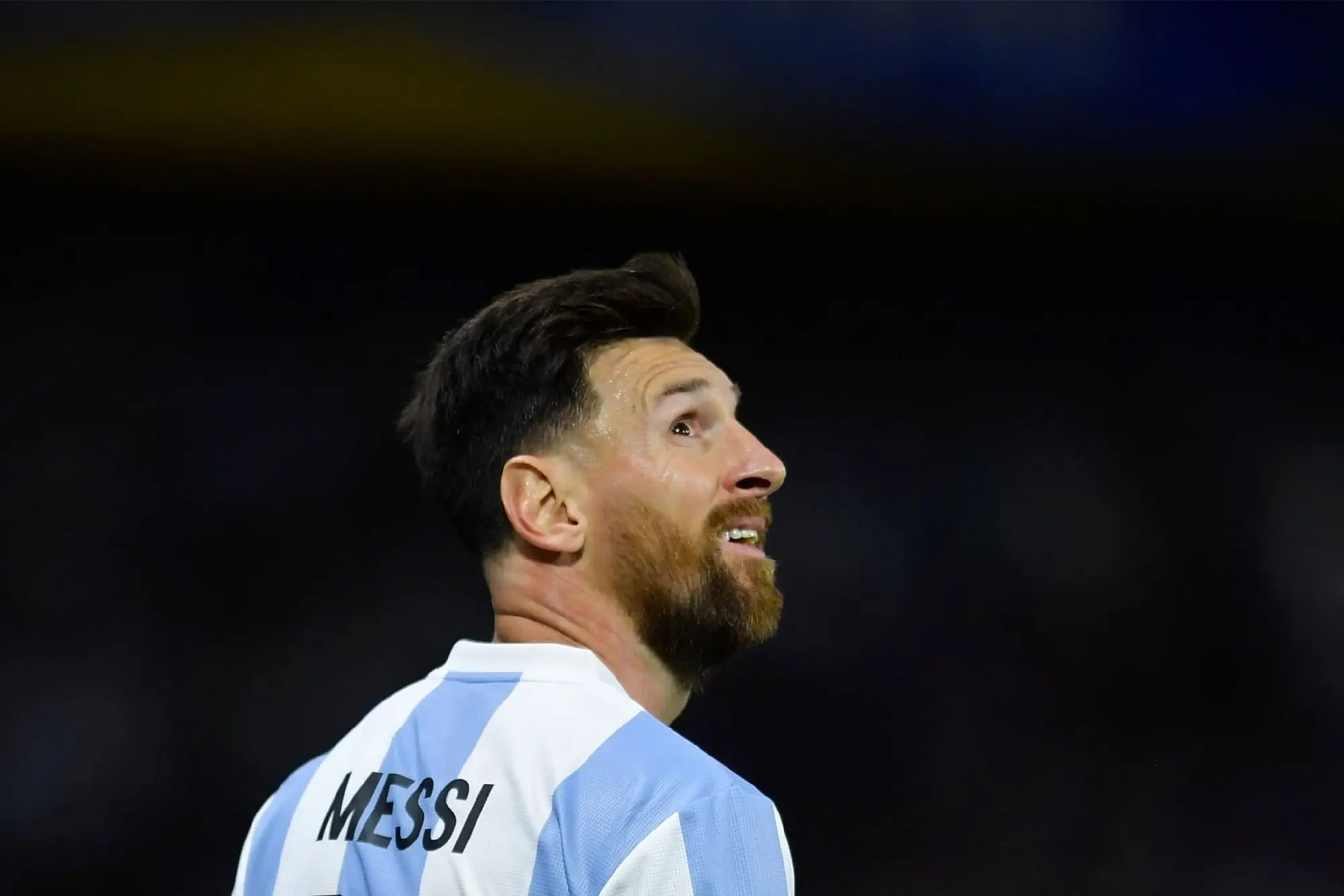 下一届世界, 而世界杯的, 场漫长的告 下一届世界, 而世界杯的, 场漫长的告