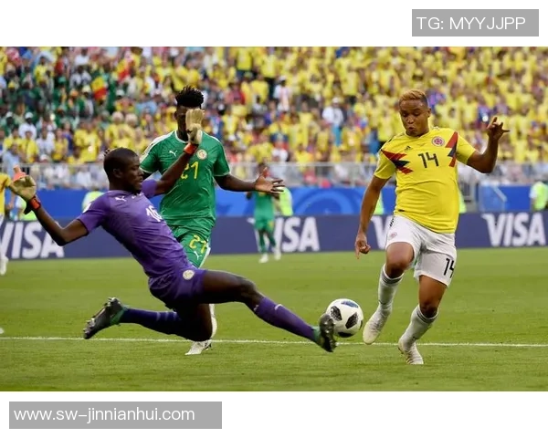 巴拉纳与弗鲁米足球比赛精彩直播全程回顾与分析